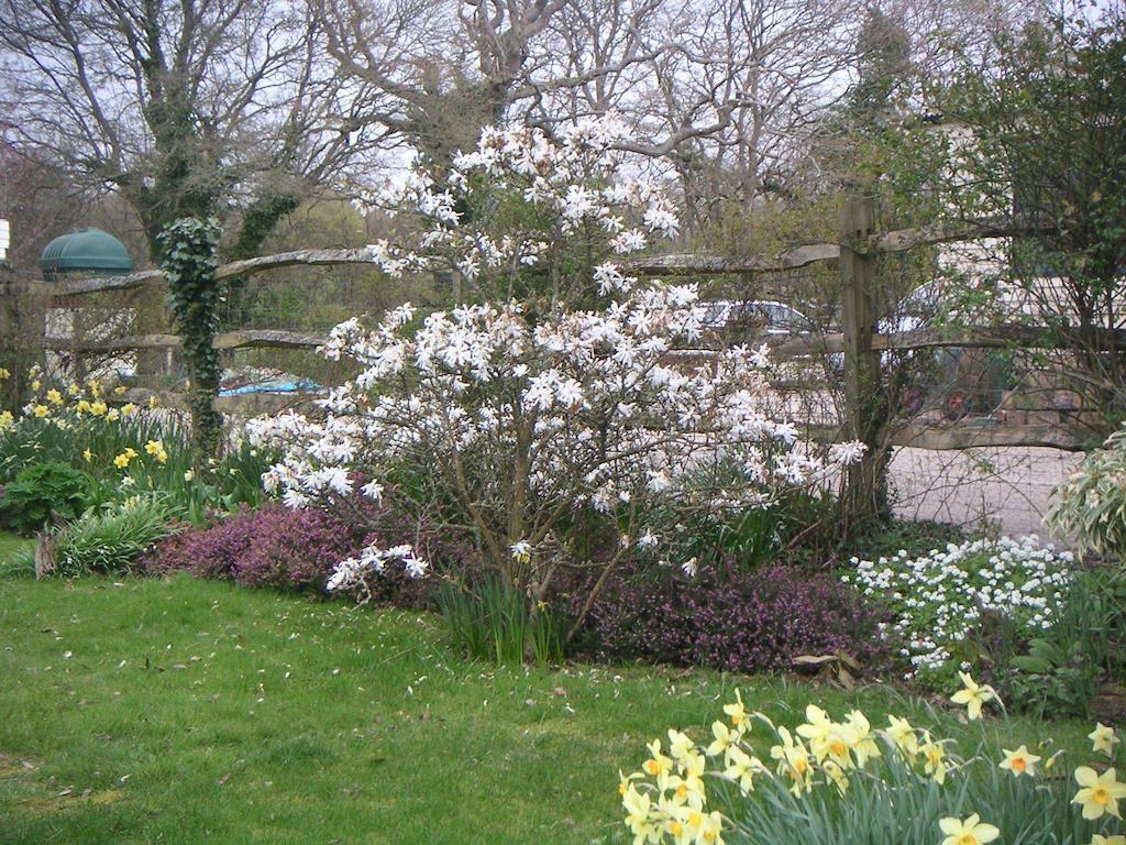 Bed and Breakfast Woodgate Farm à Tenterden Extérieur photo